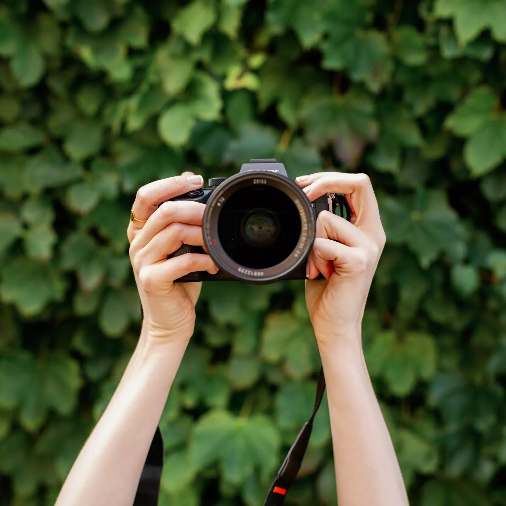 camera-on-green